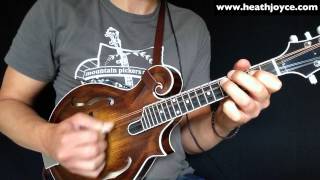 The Swallowtail Jig Mandolin [upl. by Ylelhsa]