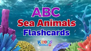 The Sea Animal Alphabet Names and Videos from AZ [upl. by Halik]