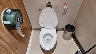 Unknown Brandless Toilet [upl. by Ecahc141]