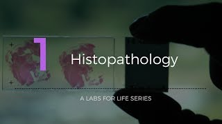 Histopathology [upl. by Dirfliw645]