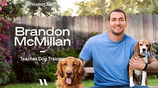 Brandon McMillan Teaches Dog Training  Official Trailer  MasterClass [upl. by Dyana]