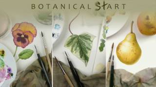 Watercolour techniques used for botanical art [upl. by Niarda200]