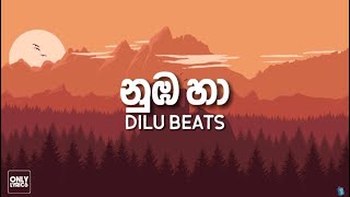 DILU Beats  Numba Ha නුඹ හා  Lyrics [upl. by Yrojram471]