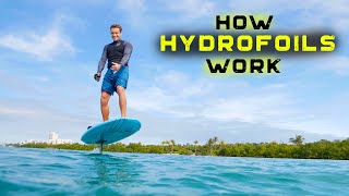 HYDROFOILS  How they work  The basics [upl. by Ailicec376]