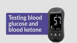 CareSens Dual Blood Glucose Monitor  Testing Blood Glucose [upl. by Killy]