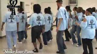 Step  Line Dance  quotShake Your Pantsquot [upl. by Kassi]