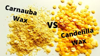 Candelilla Wax VS Carnauba Wax [upl. by Flower831]