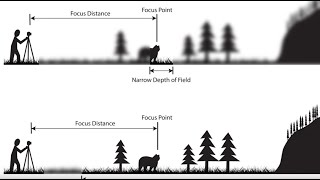 Depth of Field An Easy Overview 2023 [upl. by Ylecic]