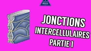 03  Les Jonctions intercellulaires Partie 1 [upl. by Annoya]