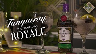 Tanqueray Blackcurrant Royale Gin Review  The Ginfluencers UK [upl. by Cochard918]