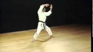 Heian Yondan  Shotokan SKIF  Hirokazu Kanazawa [upl. by Madi861]