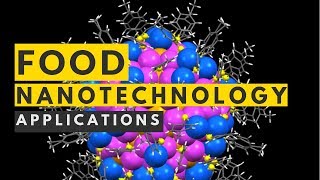 Food Nanotechnology Applications [upl. by Joell223]