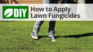 How to Use Lawn Fungicides For A Lawn Fungus Treatment [upl. by Lebanna476]