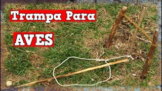 Increíble TRAMPA Para Aves Automática Casera  TUTORIAL  YMX supervivencia [upl. by Lewanna]