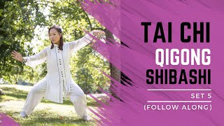 Tai Chi Qigong Shibashi Set 5 Follow along  Mirrored version with breathing timing [upl. by Jezebel]