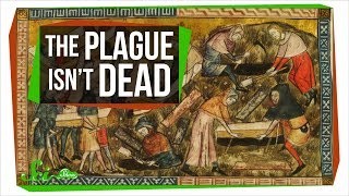 Plague Inc Evolved  Parasite Walkthrough Mega Brutal [upl. by Htinek869]