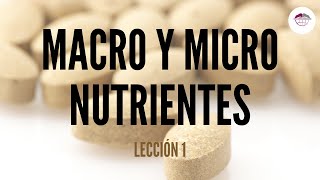 1 CONCEPTOS BÁSICOS DE ALIMENTACIÓN MACRO Y MICRONUTRIENTES NUTRICIÓN ORTOMOLECULAR [upl. by Barbabra]