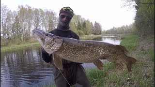 TOP 3 GIANT PIKE CAUGHT ON CAMERA compilation [upl. by Eamanna992]