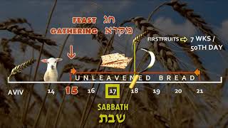 First Fruits  Counting the Omer  Biblical Holy Feast days [upl. by Shelia599]