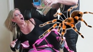 TERRIFYING TARANTULA PRANK [upl. by Kial]