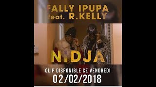 FALLY IPUPA FEAT RKELLY  NIDJA [upl. by Adnirem]