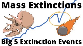 Big 5 Mass Extinction Events [upl. by Wiatt]