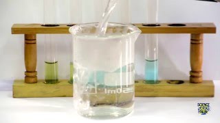 Food Tests  Iodine Biuret Benedicts Ethanol DCPIP [upl. by Notna62]