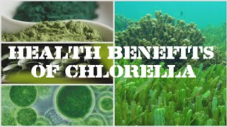 Health Benefits Of Chlorella [upl. by Baniez]