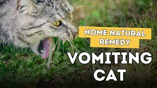 5 Home Remedies For Cat Vomiting [upl. by Llenral]