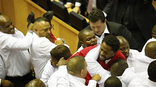 Fighting Breaks Out in South Africas Parliament [upl. by Atirys]