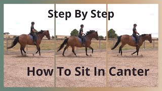 How To Sit The Canter Using Your Seat [upl. by Creath272]