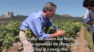 The History of Rioja [upl. by Hild117]