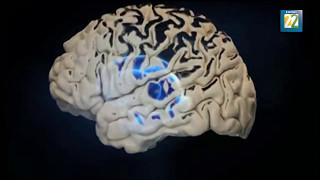 Ciencia El cerebro humano y sustancias adictivas [upl. by Wilow]