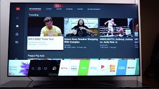 New 2019 LG NanoCell TV 65quot 4K TV [upl. by Cressy]