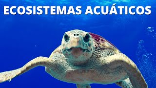 ¿Qué son los ECOSISTEMAS ACUÁTICOS Características tipos y ejemplos🌊 [upl. by Noxas]