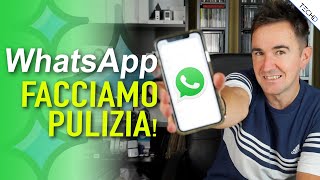 Whatsapp  Facciamo Pulizia sul nostro iPhone [upl. by Seiter56]