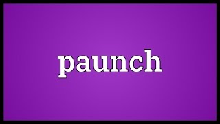 Paunch Meaning [upl. by Trebloc918]