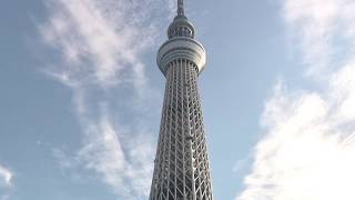 The EarthquakeProof Tower in Japan  Secret Revealed [upl. by Aehtna258]