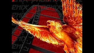 How to install Phoenix addon on Kodi [upl. by Cardon662]