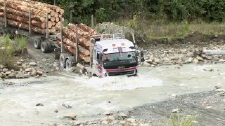 East Coast Forest Industry Gisborne New Zealand [upl. by Webb]