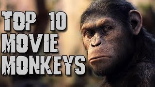 Dark Corners Top Ten Movie Monkeys [upl. by Tai]