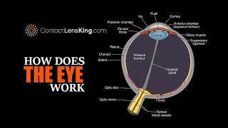 Magic Eye The optical illusion explained [upl. by Langdon496]