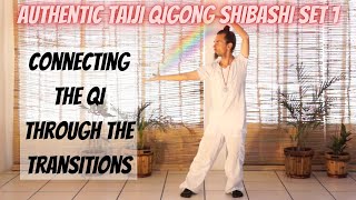 Taiji Qigong Shibashi set 1 connecting the Qi [upl. by Ahsiyn]