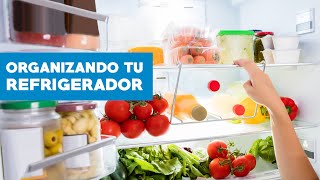 Cómo organizar tu refrigerador [upl. by Narahs839]