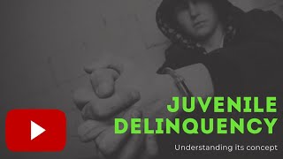 Understanding Juvenile Delinquency  Criminology [upl. by Flann]