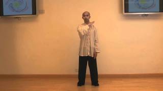 Tai Chi Qigong Shibashi  Home Study Course [upl. by Assirrec]