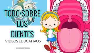 LOS DIENTES QUE SON FUNCIONESENFERMEDADES Y CUIDADOS VIDEOS PARA PREESCOLAR Y PRIMARIA [upl. by Ela]