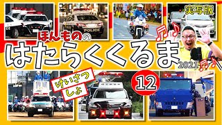 【ほんもの！】はたらくくるま 12【⑫】警察署のくるま フル・ひらがな歌詞付き 実写版！ [upl. by Alpert34]