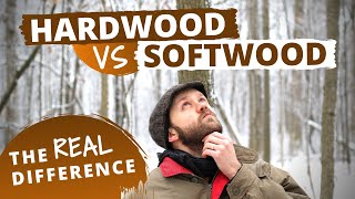 The Actual Difference Between Hardwood and Softwood [upl. by Gile]