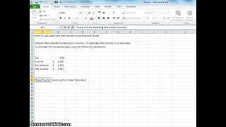 00033  How To Calculate Your Net Income Using Microsoft Excel [upl. by Karl]